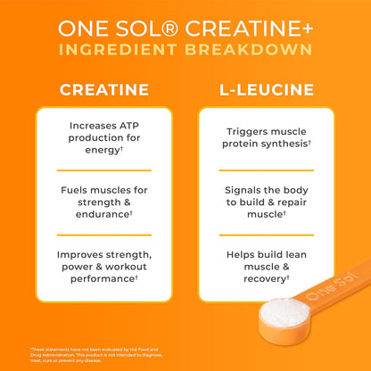 One Sol Creatine for Women Booty Gain, All Natural Women’s Creatine Powder w Creapure & Leucine, Increase Lean Muscle Mass, Reduce Recovery Time, Promotes Brain & Bone Health (Unflavored, 60 Servings)