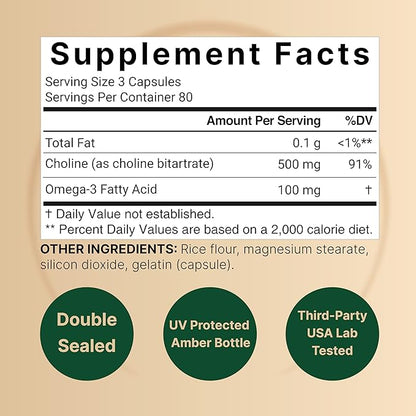 Choline Supplements 500mg with Omega-3 Fatty Acids, 240 Capsules | High Potency Choline Bitartrate – Prenatal Support During Pregnancy – Promotes Energy, Liver, Brain, & Cognitive Health