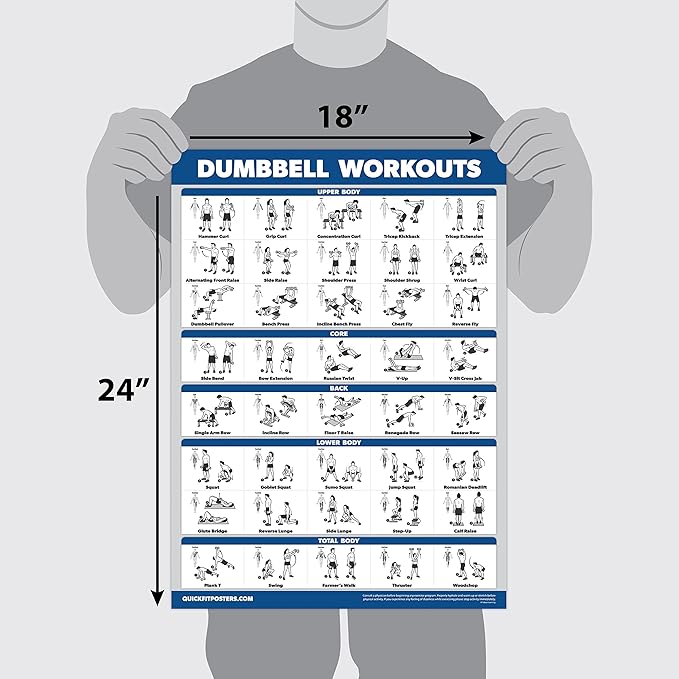 Palace Learning 3 Pack: Dumbbell Workouts Posters Volume 1 & 2 + Barbell Exercises - Set of 3 Workout Charts
