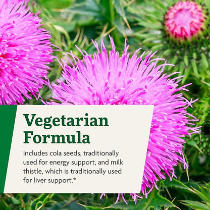 Floradix Epresat Adult Multivitamin - Daily Liquid Multivitamin with Vitamin A, Milk Thistle & More for Wellness - Energy Support & Liver Health Support - Vegetarian, Non-GMO - 17 fl oz