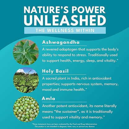 Ashwagandha Plus – Stress, Mood, Memory & Energy Support – Potent Extracts of Root and Leaf with Amla & Holy Basil – Triple Adaptogenic Formula – One Capsule Daily – 30 Vegan Caps