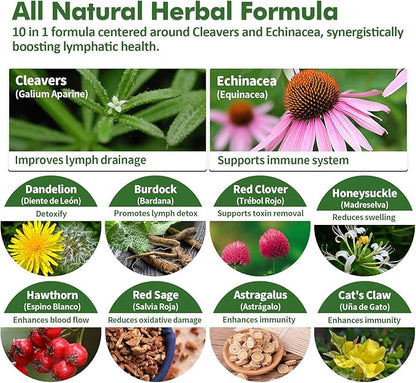 Cleavers Lymphatic Drainage Drops for Lymph System Detox Cleanse, Lymphedema Support Supplement Formula w/Echinacea, Cat’s Claw, Red Clover Extract Tincture, Use with Lymph Massage Tool. 2oz