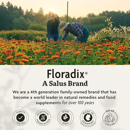 Floradix Iron Sport Liquid Mineral & Vitamin Formula - Daily Vitamin for Nutritional & Energy Support - Sports Nutrition with Gentle Iron, B Vitamins & More - Vegan & Non-GMO - 8.5 fl oz