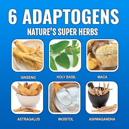 DRNX 12 Pack Adaptogenic Waters Complete Hydration Enhanced Beverage - Zero Sugar - 5 Calories - Super Herbs, B & D Vitamins, Antioxidants, Keto Friendly, All Natural (Kiwi Strawberry)