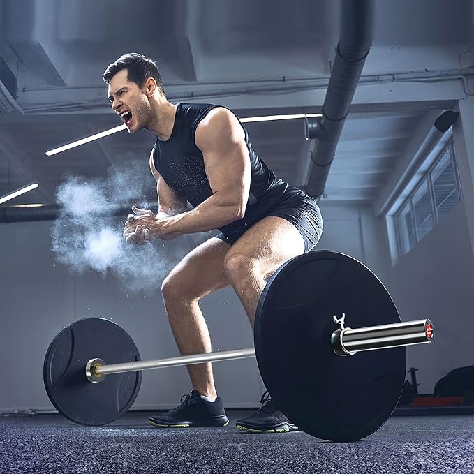 Olympic Barbell EZ Bar Curl Bar 4ft/5ft/7ft 2 Inch (300lb/330lb/400lb/700lb/1000lb/1500lb)