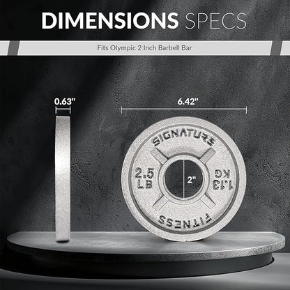 Deep Dish 2-Inch Olympic Cast Iron Weight Plates with E-Coating