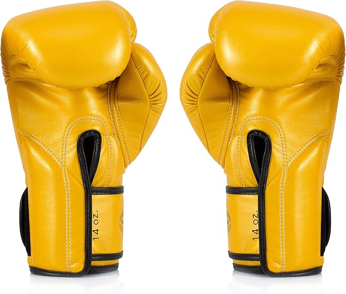 Fairtex Muay Thai Boxing Gloves for Men, Women, Kids | MMA Gloves, Kickboxing, Gym, Workout | Premium Quality, Light Weight & Shock Absorbent Boxing Gloves - BGV14, BGV11, BGV18, BGV20, BGV25