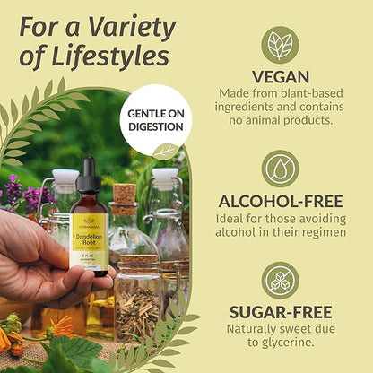 HERBAMAMA Dandelion Root Extract - Dandelion Tincture Vegan Liver Support Supplements - Dandelion Root Liver and Kidney Detox Drops - Alcohol & Sugar-Free, 28-Day Supply