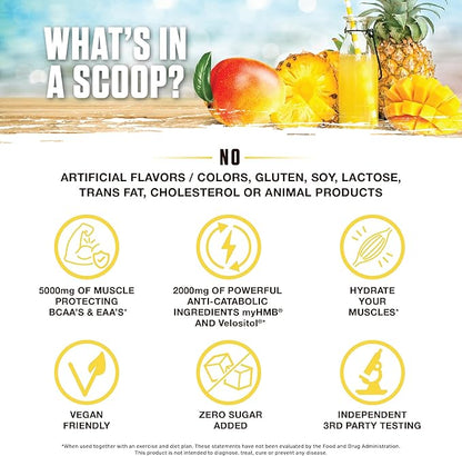 Ambrosia Hydroglyph Intraworkout Formula w/BCAA + EAA + Electrolytes Hydration Powder to Protect Lean Muscle, 0g Sugar Fasting Hydration Drink Mix, Made w/Coconut Water (Pineapple Mango)