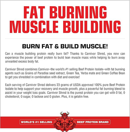 MuscleMeds Carnivor Shred Fat Burning Hydrolized Beef Protein Isolate, 0 Lactose, 0 Sugar, 0 Fat, Vanilla Caramel, 2 Pound, 28 Servings