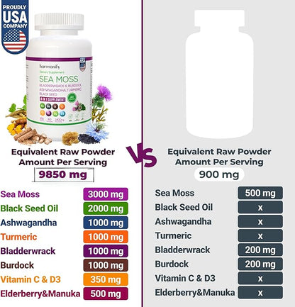 Sea Moss Black Seed Oil Ashwagandha Turmeric Bladderwrack & Burdock with Vitamin C & D3, Sambucus Elderberry, Apple Cider Vinegar and Dandelion Extract, 8 in 1 Supplement, 1400 mg