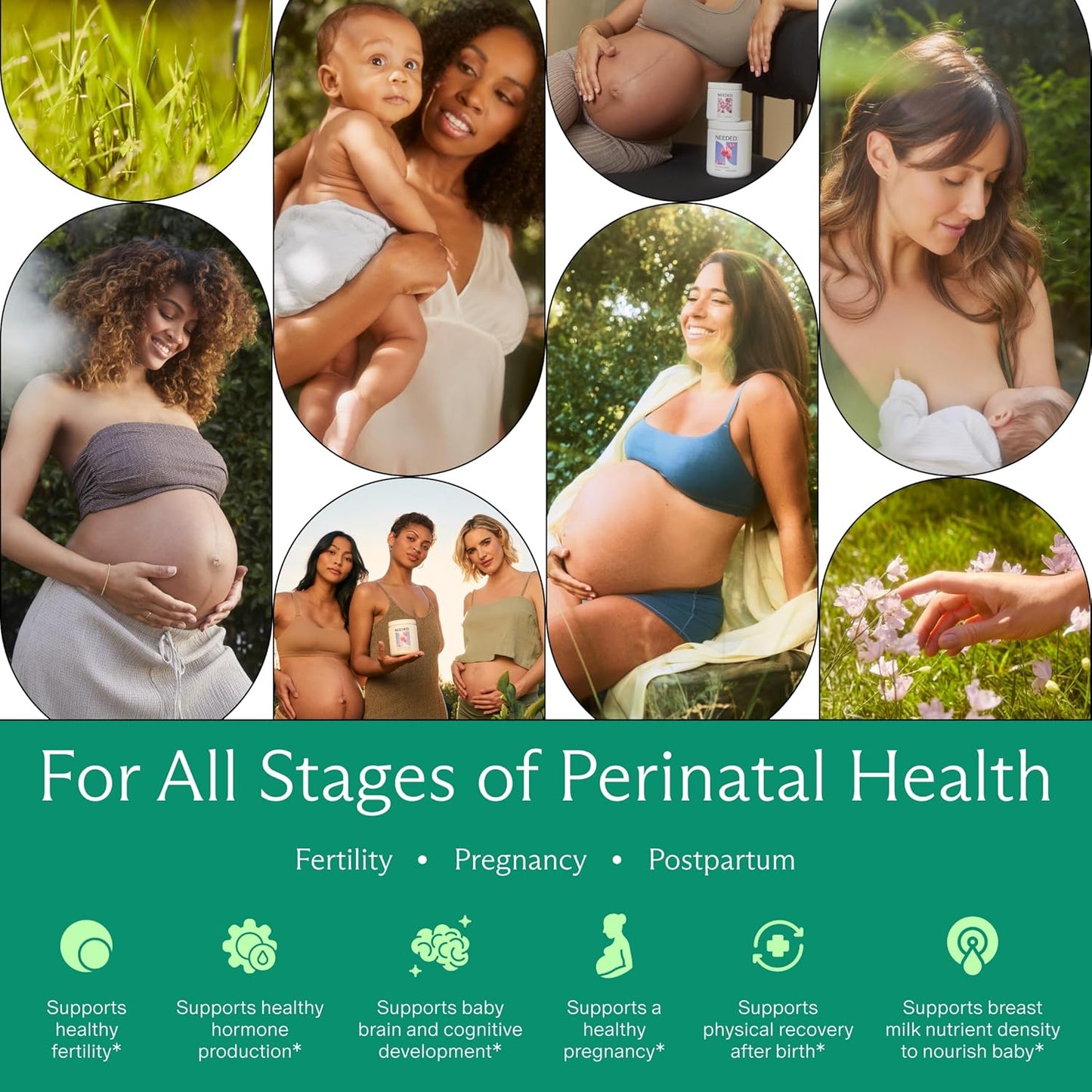 Needed. Multivitamin with Choline Capsules for Prenatal, Pregnancy, Breastfeeding, Postpartum | Expertly-Formulated & Third-Party Tested| 30-Day Supply