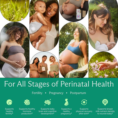 Needed. Multivitamin with Choline Capsules for Prenatal, Pregnancy, Breastfeeding, Postpartum | Expertly-Formulated & Third-Party Tested| 30-Day Supply