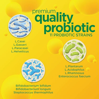 Daily Probiotic for Men & Women, Slows Digestive Aging, Boosts Immune System, Reduces Bloating, Non-GMO, Gluten Free & Soy Free, 10 Billion CFU, 30 Capsules
