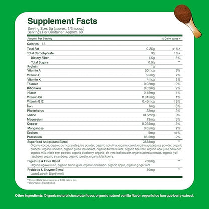 Feel Great USDA Organic Super Greens for Kids | Vegan Chocolate Greens Powder with Veggie Powder for Kids | Superfood Powder with Probiotics & Digestive Enzymes for Digestive Health | 2 Month Supply