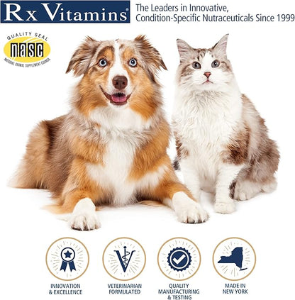 Rx Vitamins Amino B Plex for Pets - B Vitamin Complex Plus Amino Acids for Dogs & Cats - Vitamin Supplements for Dogs' & Cats' Total Body Support - 4 oz