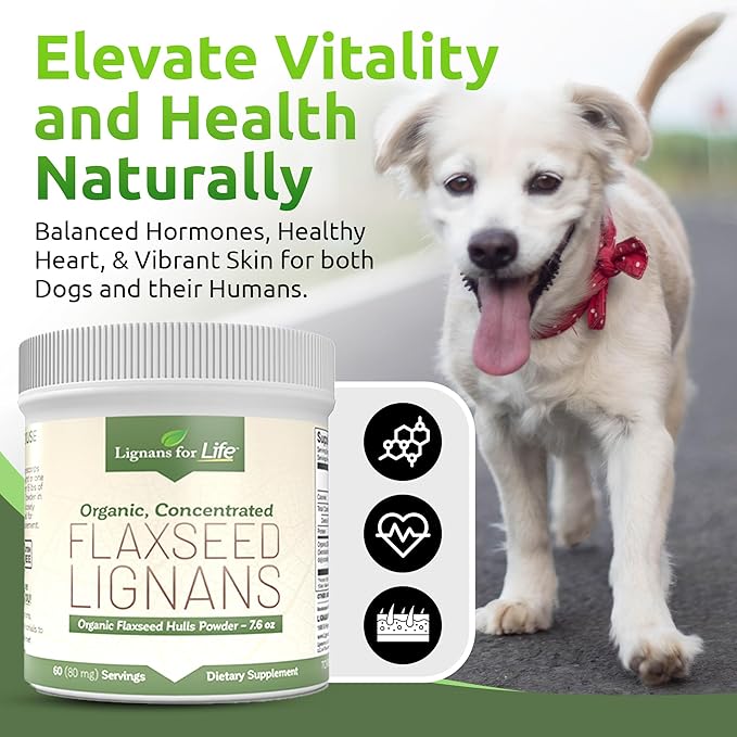 Lignans for Life - Natural Bulk Ground Flaxseed Powder - Omega 3 & 6 Fatty Acids Filled High Fiber Antioxidants - Support Healthy Heart & Hair, Healthy Immune System - 60 Servings 80mg per tab, 1 Pack