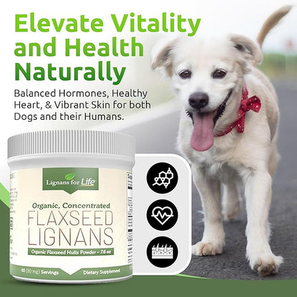 Lignans for Life - Natural Bulk Ground Flaxseed Powder - Omega 3 & 6 Fatty Acids Filled High Fiber Antioxidants - Support Healthy Heart & Hair, Healthy Immune System - 60 Servings 80mg per tab, 1 Pack