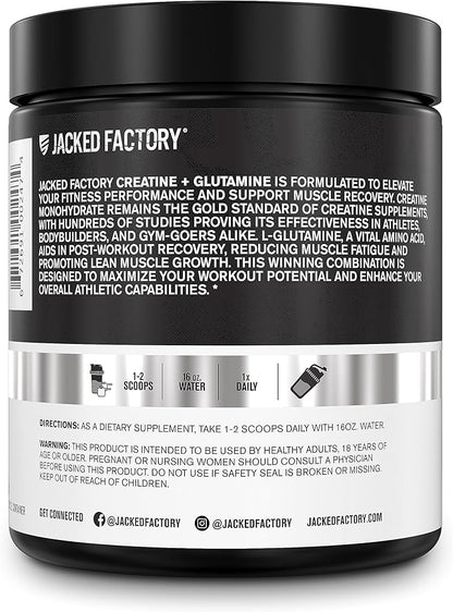 Creatine + Glutamine - Creatine Supplement with L-Glutamine for Muscle Recovery, Muscle Growth, Increased Strength, Enhanced Energy Output, and Gut Health - 30 Servings, Unflavored