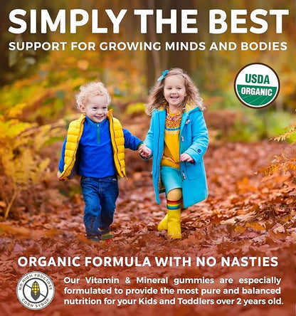 USDA Organic Kids Vitamin Gummies (Non-GMO) Yummy Natural Fruit Flavors - Complete Kids Multivitamin Gummies: Vitamin C, D, B, A, Zinc - Supplement for Energy, Mood, Immune Support - 60 Gummy Vitamins