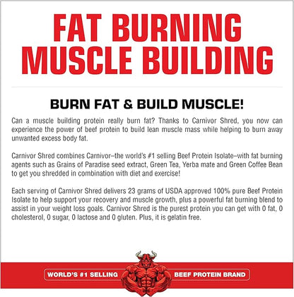 MuscleMeds Carnivor Shred Fat Burning Hydrolized Beef Protein Isolate, 0 Lactose, 0 Sugar, 0 Fat, Chocolate, 4.35 lbs