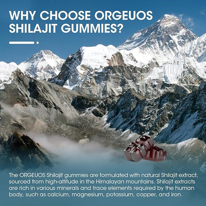 Himalayan Shilajit Gummies with 85+ Trace Minerals & Fulvic Acid for Energy, Immune, Cognitive Support High Potency Pure Natural Shilajit Supplement for Men & Women 60 Gummies (2 Packs)