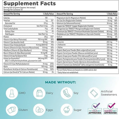 Reignite Wellness Vanilla Paleo-Inspired All-in-One Shake - Bone Broth Protein Powder - Healthy Shake Supports Lasting Energy with 20g of Protein (30 Servings, 2.3 lbs) - by JJ Virgin