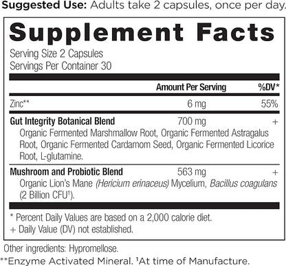 Gut Health Supplement by Ancient Nutrition Leaky Gut Capsules, 60ctFormulated with Licorice Root, Astragalus, Marshmallow, and L-Glutamine, Gluten Free, Paleo and Keto Friendly, 60 Ct
