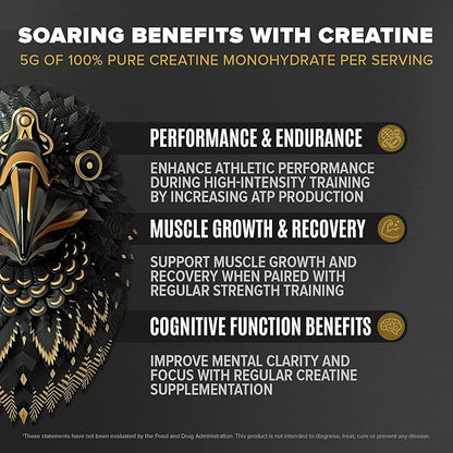 BIRDMAN Falcon Performance Vegan Protein Powder, 31g Protein, 5g Creatine, 5g BCAA, Probiotics, Electrolytes, Pre Workout, Low Carb, Sugar Free & Dairy Free, Plant Based Vanilla Protein -19 Servings