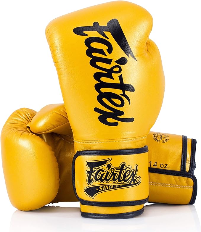 Fairtex Muay Thai Boxing Gloves for Men, Women, Kids | MMA Gloves, Kickboxing, Gym, Workout | Premium Quality, Light Weight & Shock Absorbent Boxing Gloves - BGV14, BGV11, BGV18, BGV20, BGV25