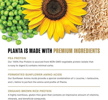 Ambrosia Planta - Premium Organic Plant-Based Protein | Vegan & Keto Friendly | Gourmet Flavors with No Bloating or Stomach Upset | Gluten & Soy Free | No Added Sugar | 25 Servings | Cookies Cream