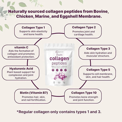 Micro Ingredients Multi Collagen Peptides Powder, 16oz | Type I, II, III, V, X + Biotin, Vitamin C & Hyaluronic Acid | Unflavored | Supports Hair, Skin & Joint Health | Keto, Non-GMO