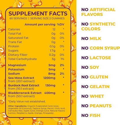 Natural Sea Moss & Bladderwrack Gummies - Immune Support & Detox - 60 Gummies for Adults & Kids, Made in The USA (Bag Pack 2)