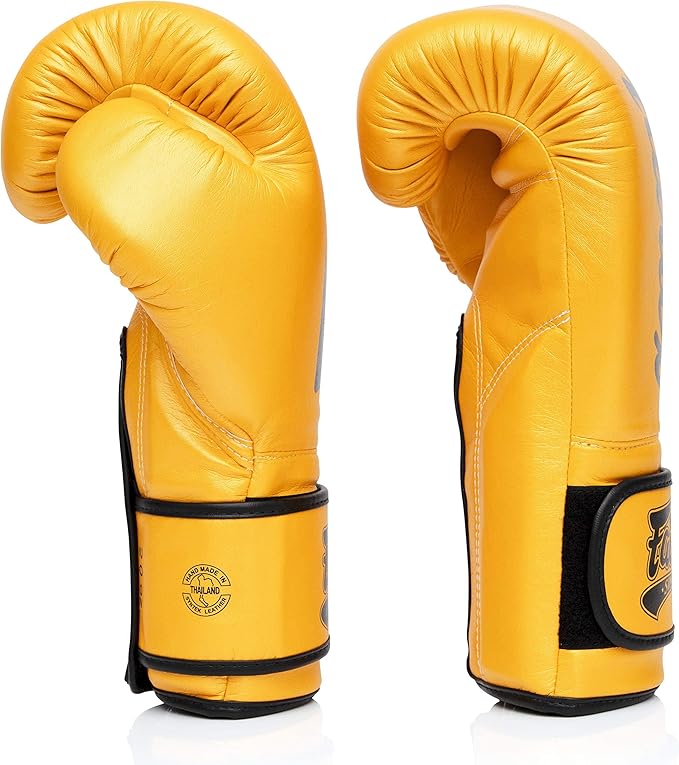 Fairtex Muay Thai Boxing Gloves for Men, Women, Kids | MMA Gloves, Kickboxing, Gym, Workout | Premium Quality, Light Weight & Shock Absorbent Boxing Gloves - BGV14, BGV11, BGV18, BGV20, BGV25