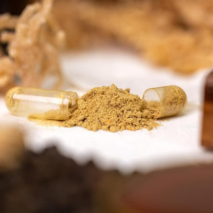 Sea Moss 3000mg Black Seed Oil 2000mg Ashwagandha 1000mg Turmeric 1000mg Bladderwrack 1000mg Burdock 1000mg Manuka Honey Dandelion ACV - 120 Capsules | 60 Days Supply | Vegan