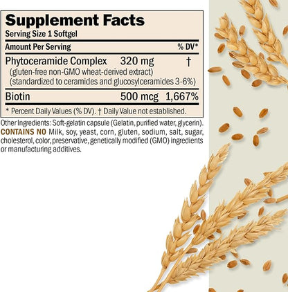 Andrew Lessman Phytoceramides with Biotin 240 Softgels – Skin’s Vital Natural Internal Moisturizer. Naturally Enhances Soft, Smooth, Radiant Skin. No Additives. Small Easy to Swallow Softgels