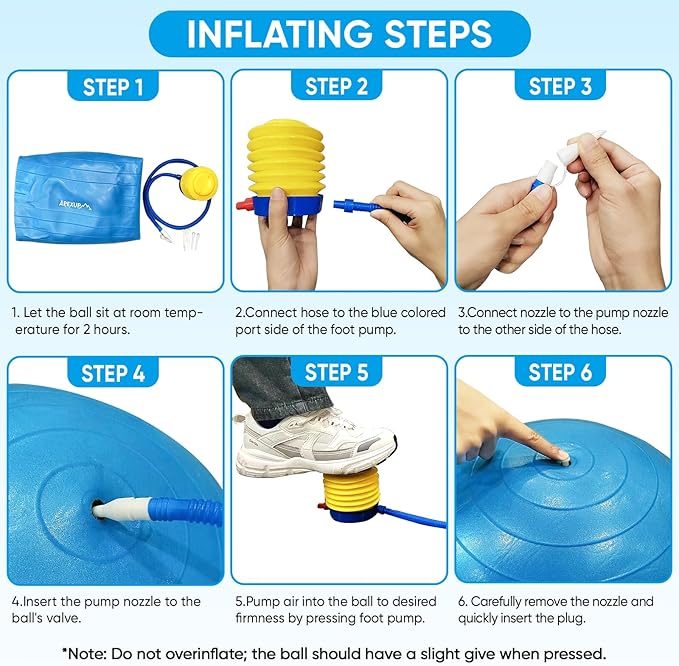 APEXUP Yoga Ball Exercise Ball