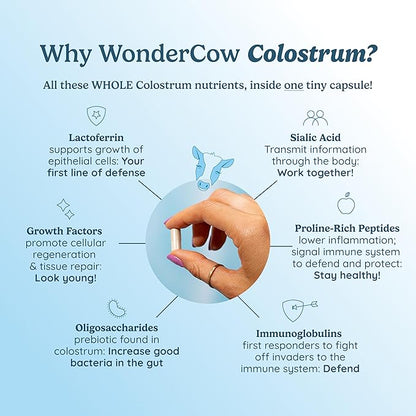 WONDERCOW Colostrum Capsules Supplement for Gut Health, Immune Support, Muscle Recovery & Wellness | Natural IgG Pure Whole Bovine Colostrum Superfood, Unflavored, 30 Servings