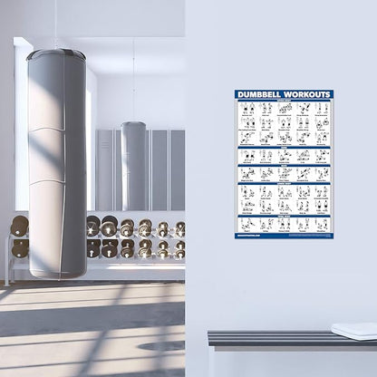 Palace Learning 4 Pack - Dumbbell Workout Posters Volume 1, 2 & 3 + Barbell Exercise Chart - Set of 4 Posters (LAMINATED, 18" x 24")