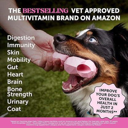 Pet Honesty Multivitamin Dog Supplement, Glucosamine chondroitin for Dogs, Probiotics, Omega Fish Oil, Dog Supplements & Vitamins, Dog Vitamins for Skin and Coat Allergies, (Peanut Butter 90 ct)