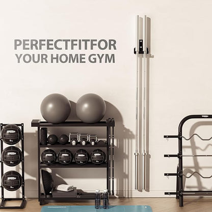 Signature Fitness Wall Mount Vertical Barbell Hanger Olympic