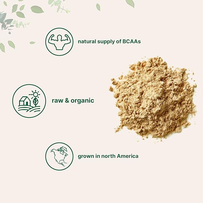 Micro Ingredients North America Grown, Organic Pea Protein Powder, 1KG (2.2 Pounds) | Plant-Based Vegan Protein, Meatless Protein Supplement, Rich in Branched Chain Amino Acids | Non-GMO, Soy Free