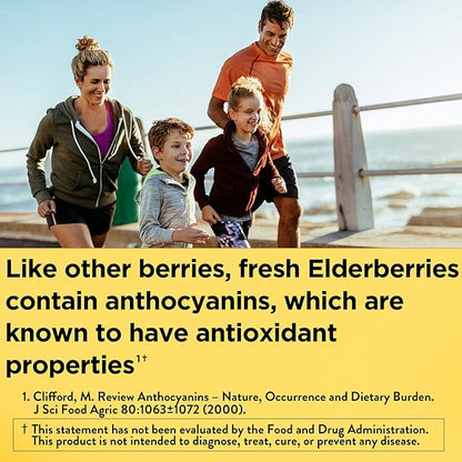 Nature Made Elderberry with Vitamin C and Zinc, Dietary Supplement for Immune Support, 60 Elderberry Gummies, 30 Day Supply