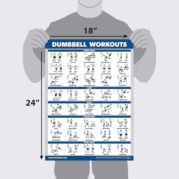 Palace Learning 4 Pack - Dumbbell Workout Posters Volume 1, 2 & 3 + Barbell Exercise Chart - Set of 4 Posters (LAMINATED, 18" x 24")