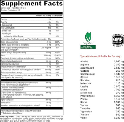 XYMOGEN OptiMetaboliX - Metabolism Supplement with B12 Vitamins and Folate - Cinnamon Supplements + Vitamin B9 - Vegan & Gluten Free - Vanilla Delight (10 Servings)