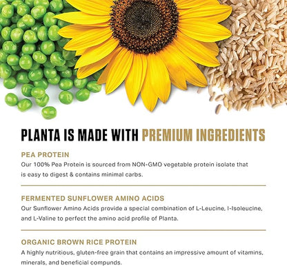 Ambrosia Planta - Premium Organic Plant-Based Protein (Peanut Butter Banana)
