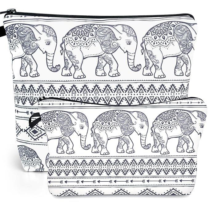 Noozion 2pcs Cosmetic Bag for Women Makeup bag Organizer Small Mini Travel Makeup Pouch for toiletries Water Resistant Girls Gift