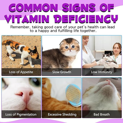 Cat Multivitamin - 15 in 1 Multivitamin Drops for Cats, Cat Supplements Vitamins with Glucosamine & MSM Supports Joint Care, Skin & Coat, Pets Supplies Vitamins for Cats, Bacon Flavor - 2 Fl Oz / 60ml