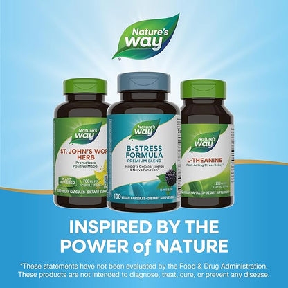 Nature's Way Premium Blend B-Stress Formula 100 vegan capsules