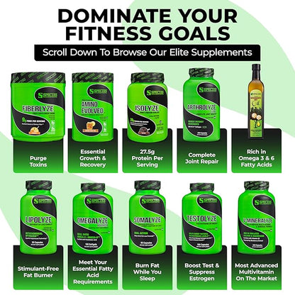 Species Nutrition Amino Evolved EAA & BCAA Powder, Fermented Amino Acids, Branched Chain Amino Acid Muscle Recovery & Endurance, Pre & Post Workout Supplement (Lemon Iced Tea, 30 Servings)